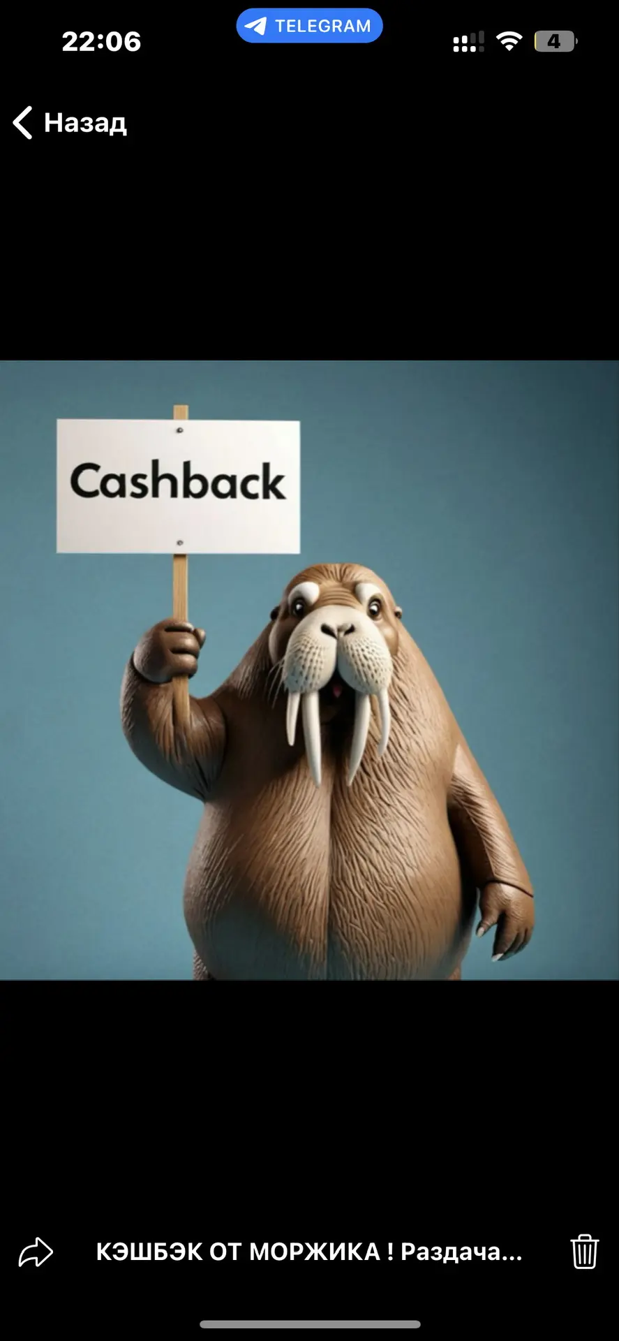 Кэшбэк от моржика