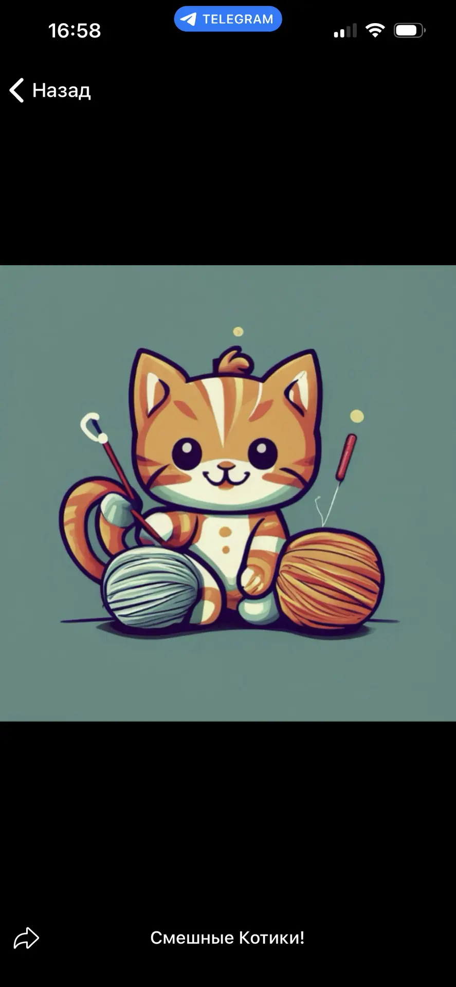 😹Смешные котики! — канал в мессенджере MAX