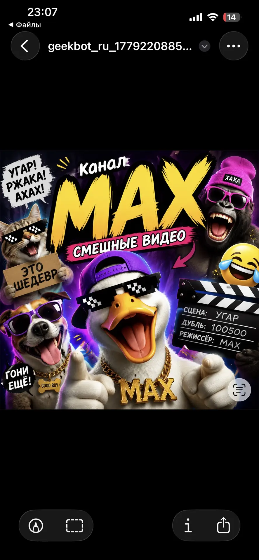 Зашкварник | Юмор
