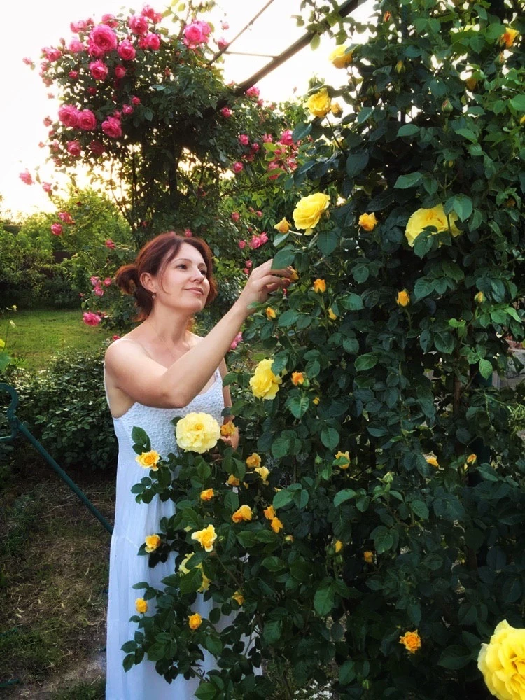 Софья и Розы 🌹 — канал в мессенджере MAX