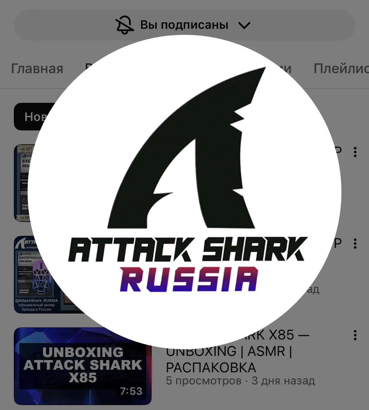 ATTACK SHARK RUSSIA | КЛАВИАТУРЫ | МЫШКИ | НАУШНИКИ | ГАРНИТУРЫ | КАБЕЛИ | АКСЕССУАРЫ | KEYBOARD | MOUSE | HEADSET | CABLE — канал в мессенджере MAX