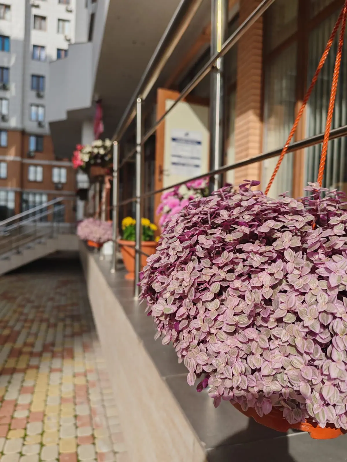 ООО Анапская жилищная компания