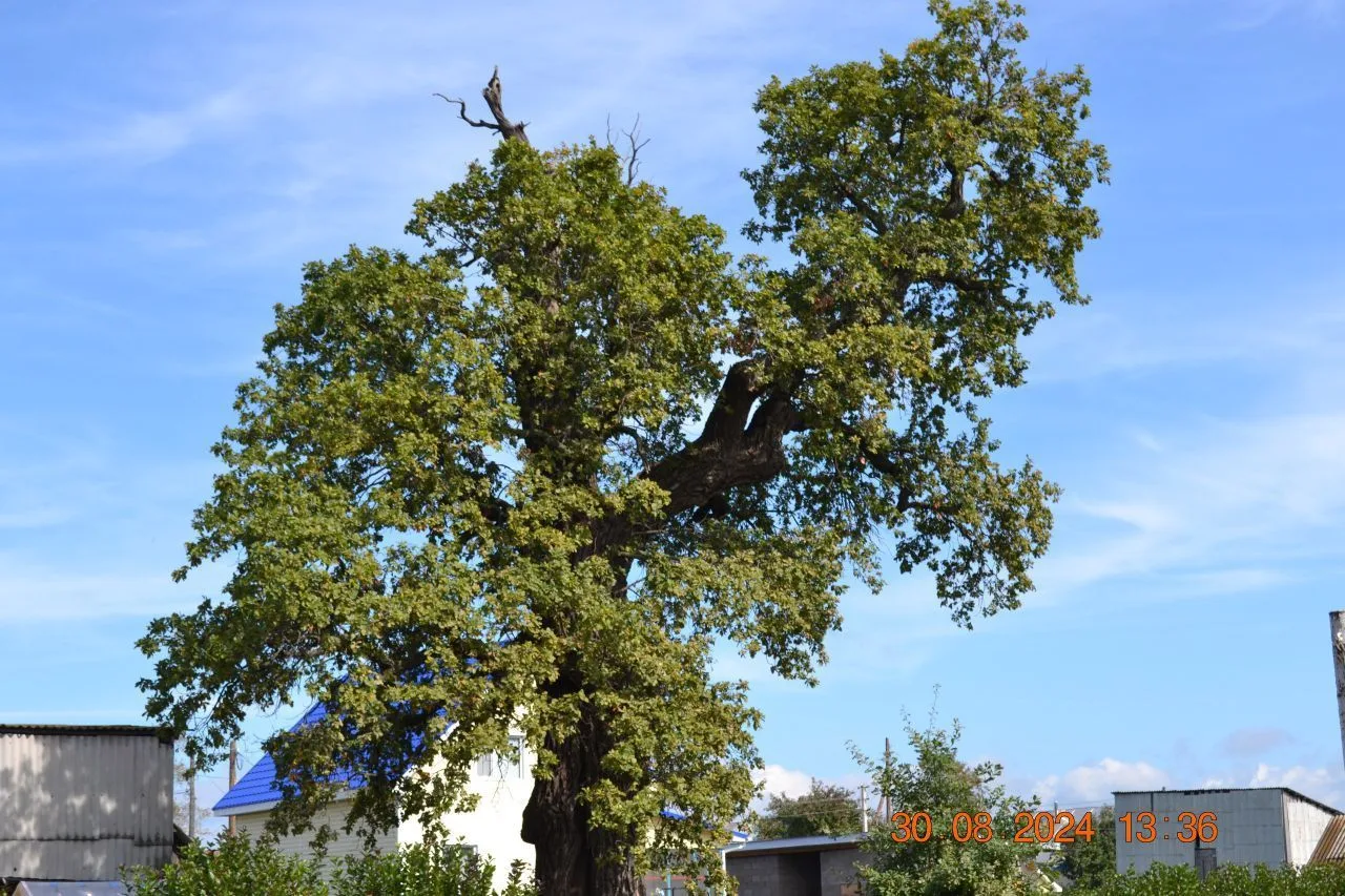 Администрация сельского поселения Бахтыбаевский сельсовет МР Бирский район РБ
