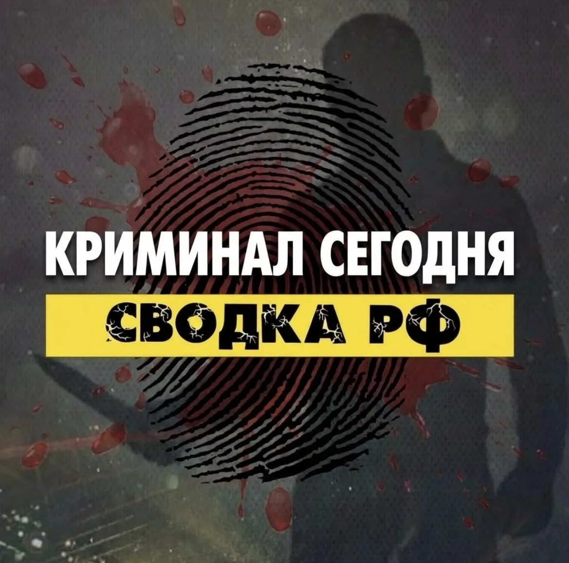 Новости | Сводка РФ — канал в мессенджере MAX