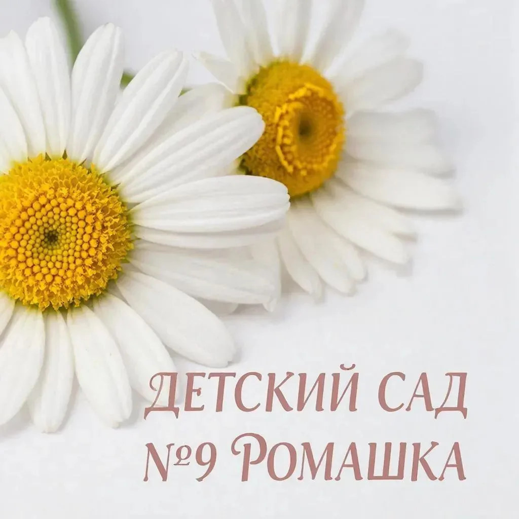 МКДОУ"Детский сад №9"Ромашка"