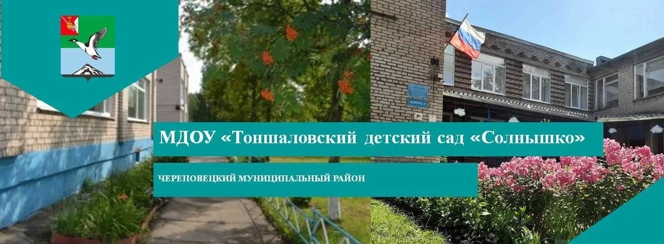 МДОУ "Тоншаловский детский сад "Солнышко"
