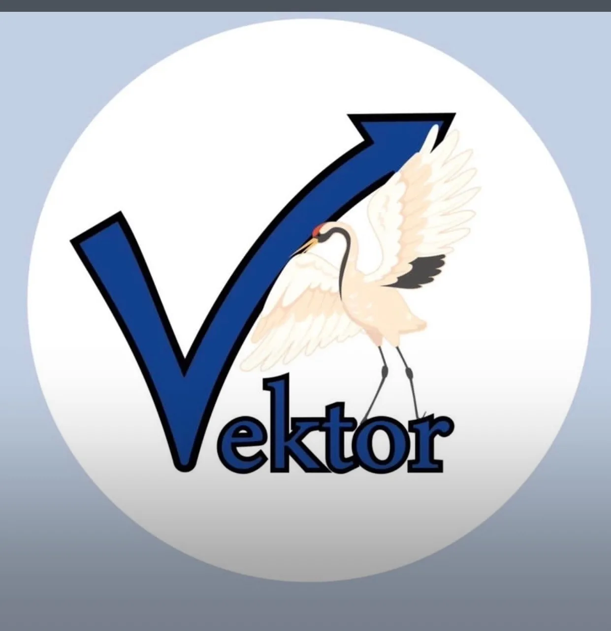 ГБОУ Школа № 1354 "Вектор"