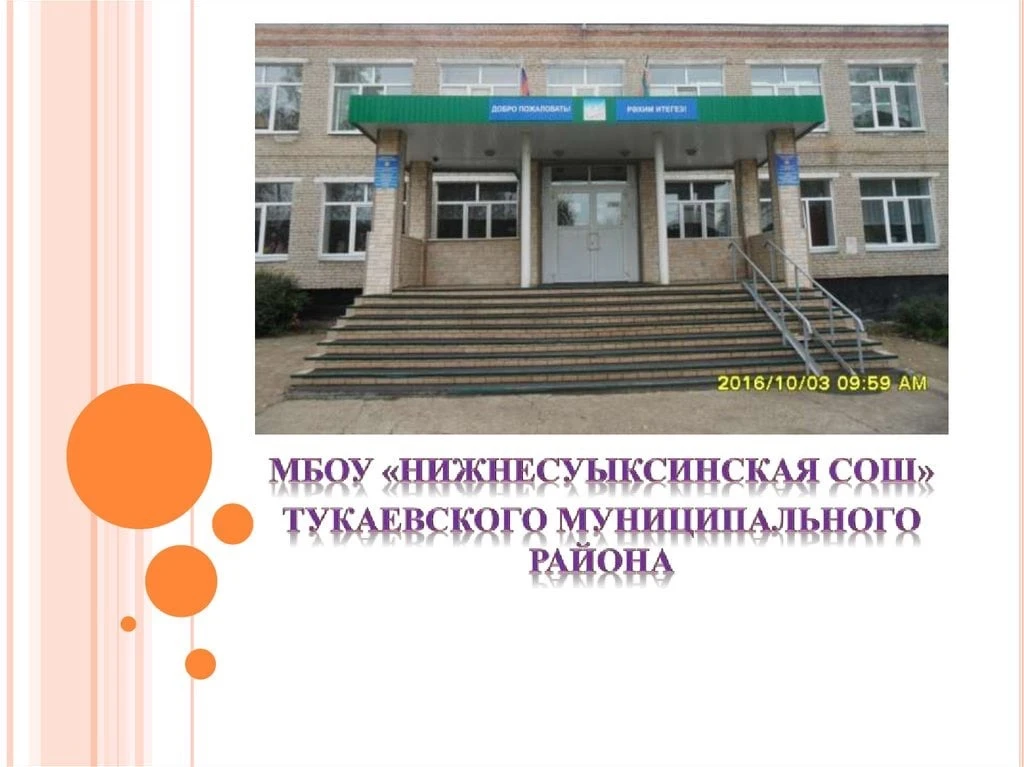 МБОУ "Нижнесуыксинская СОШ" Тукаевского муниципального района РТ