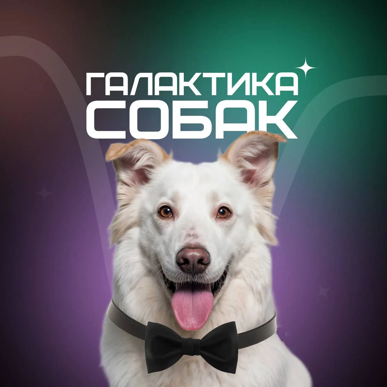 Галактика собак — канал в мессенджере MAX