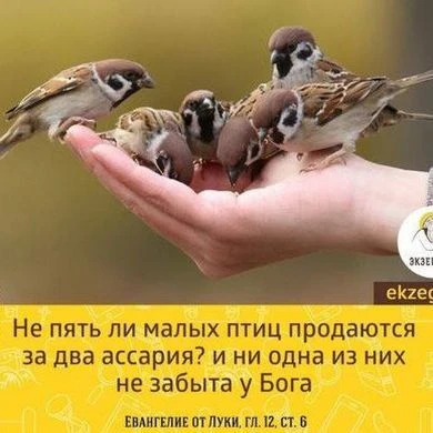 Проще простого!!! — канал в мессенджере MAX