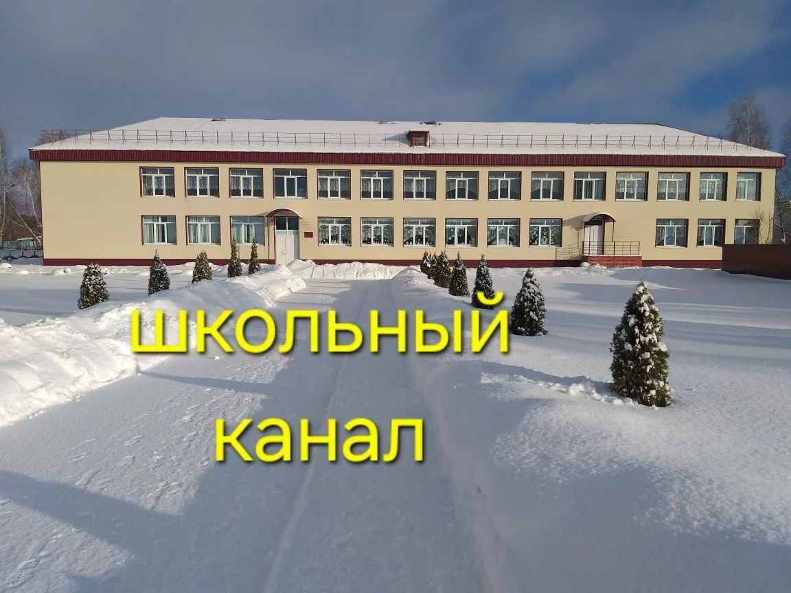 МБОУ "Сетоловская СОШ" Почепского района Брянской области — канал в мессенджере MAX