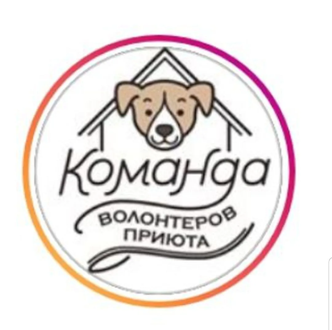 sobaki_priuta_nekrasovka🐶🐱