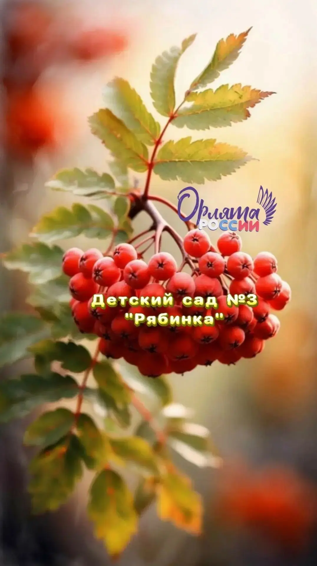 МКДОУ №3 д/с "Рябинка" п. Бисерть