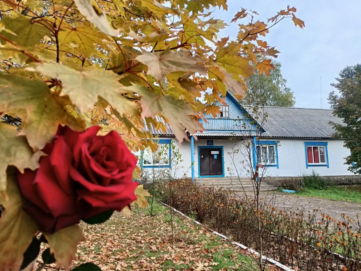 Инфоканал МОУ Волокской ООШ