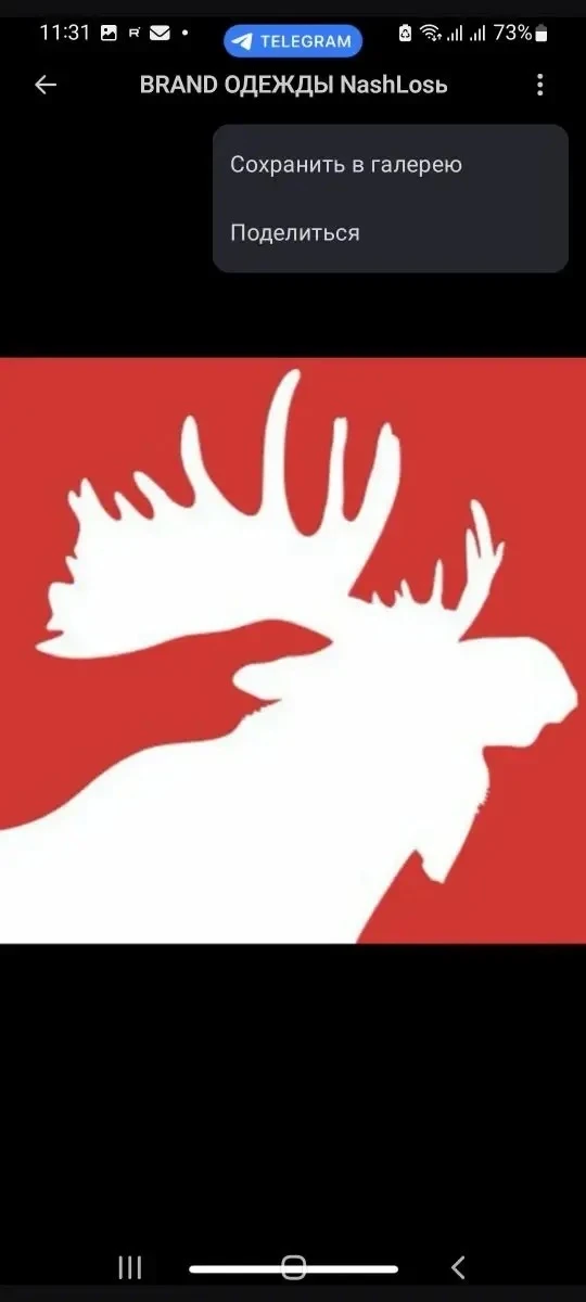 BRAND ОДЕЖДЫ NashLosь