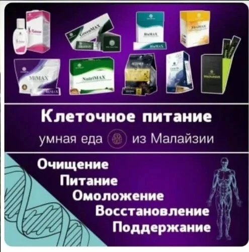 КЛЕТОЧНОЕ ПИТАНИЕ | М ИНТЕРНЕШНЛ 💚