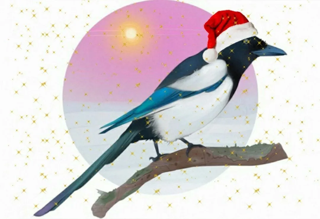 Сорока МОУ СОШ с.Малета. (Забайкальский край, ОО)