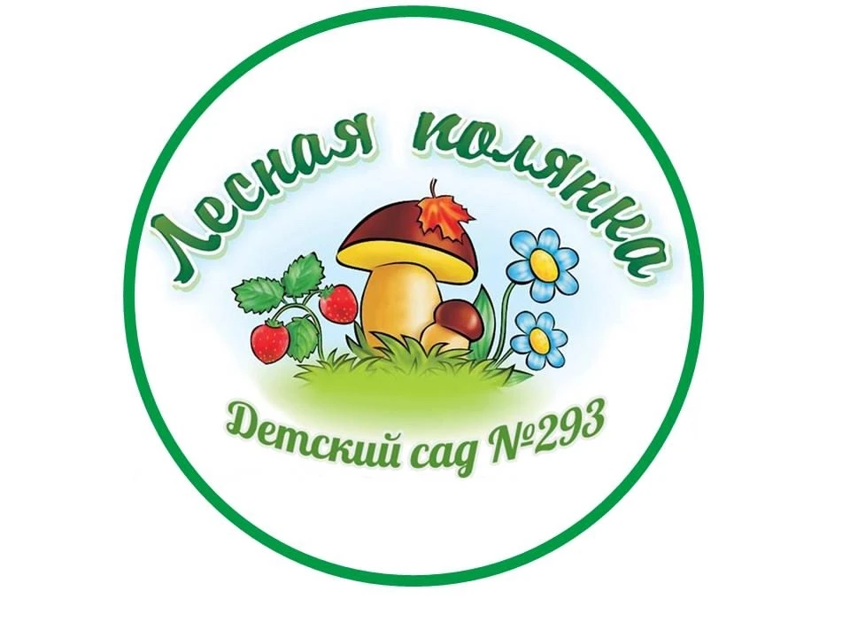 МБДОУ д/с № 293 г. Новосибирск