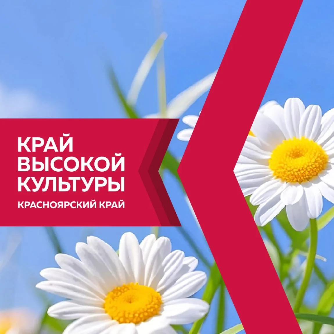 Культура24 — Минкультуры Красноярского края