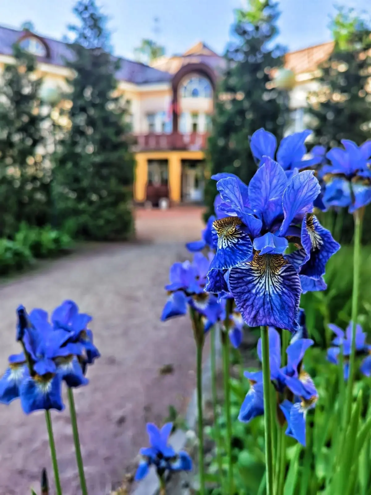 ГБДОУ детский сад 19 Курортного района Санкт-Петербурга