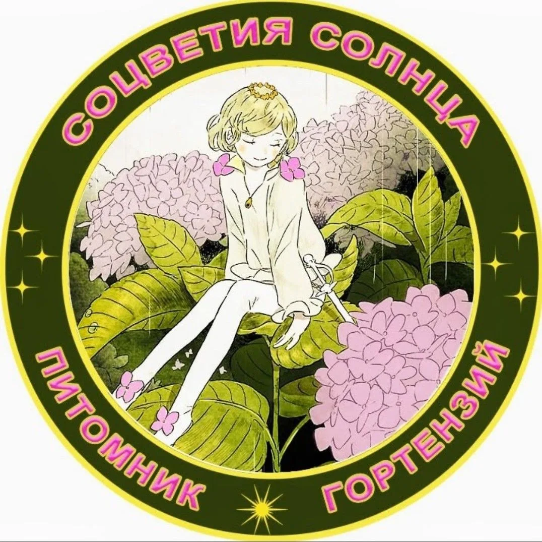 Гортензии Луховицы Коломна Зарайск 🪴🪴🪴