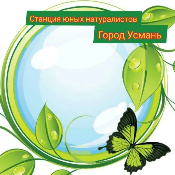 МБУ ДО СЮН Усманского муниципального округа