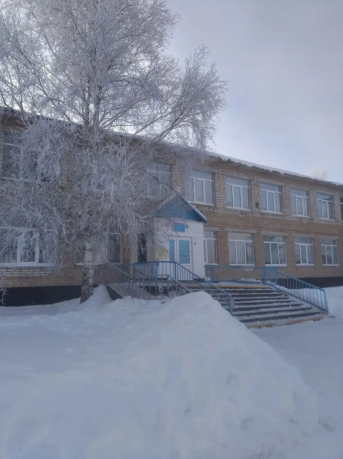 Пульс школы МБОУ Толкаевская СОШ