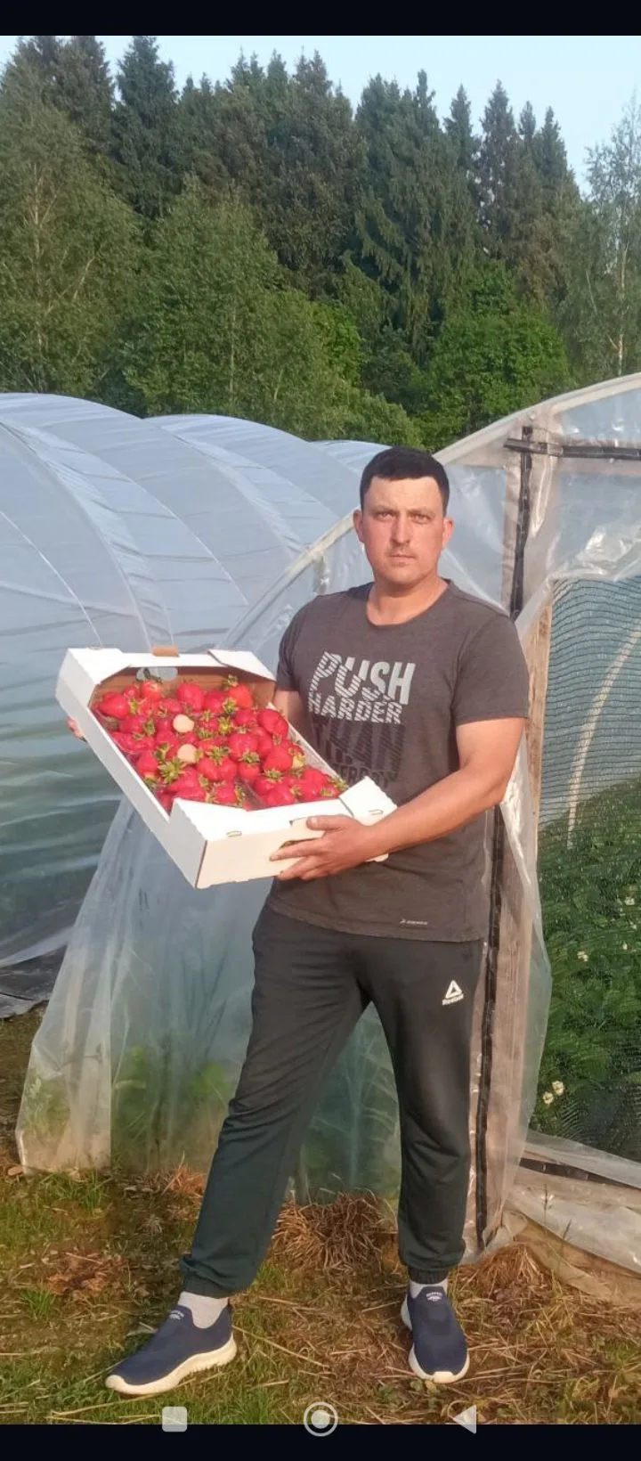 Клубника🍓 ТуТ Смоленск — канал в мессенджере MAX