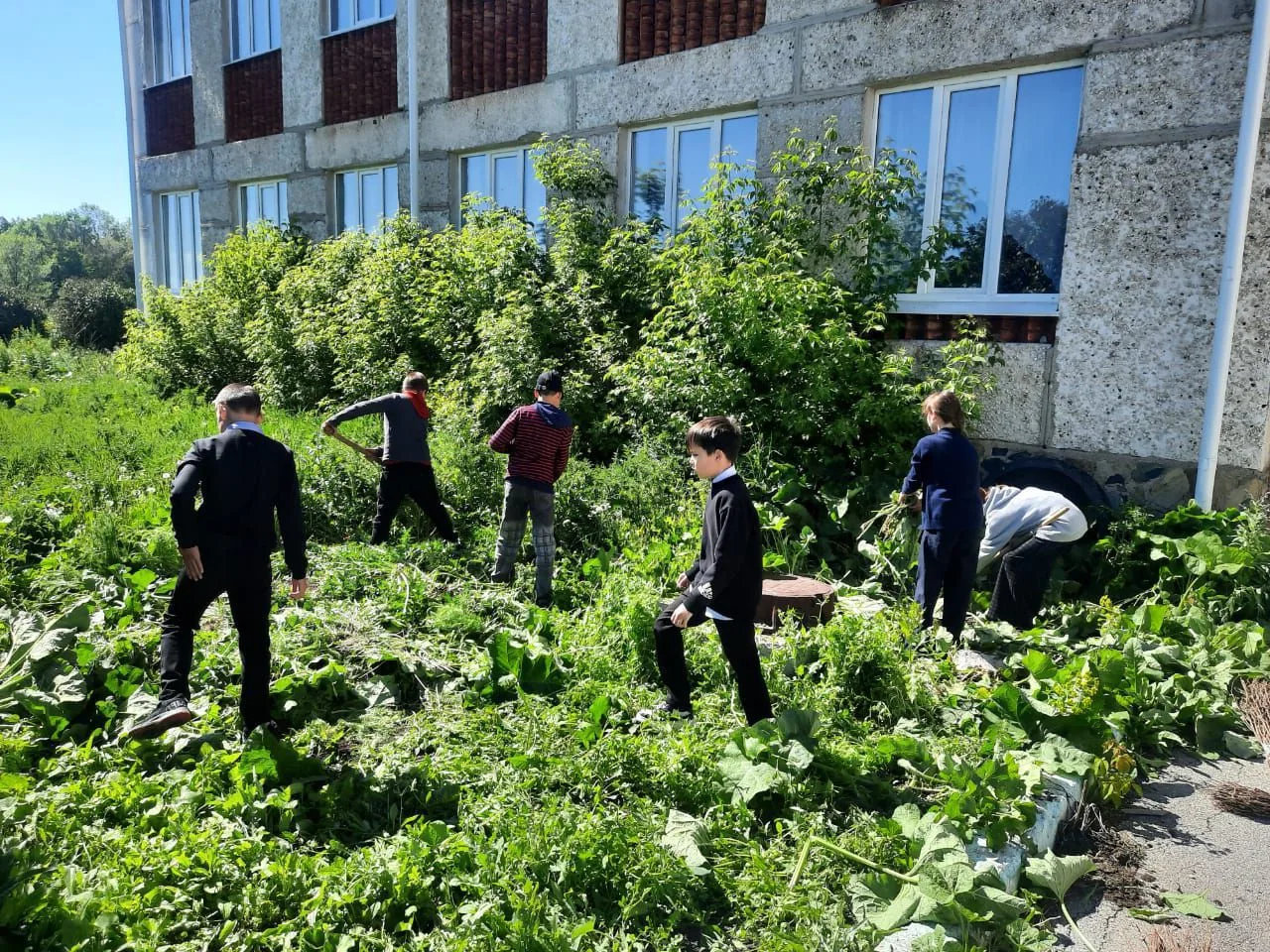 Новопокровская Школа