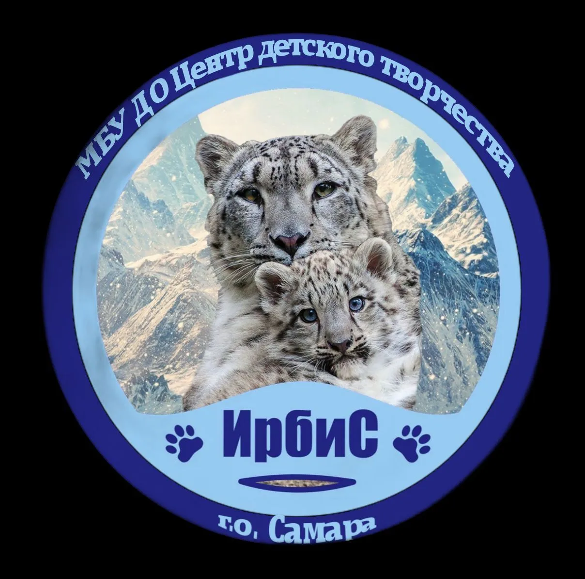 МБУДО"ЦДТ"ИРБИС" г.о.Самара