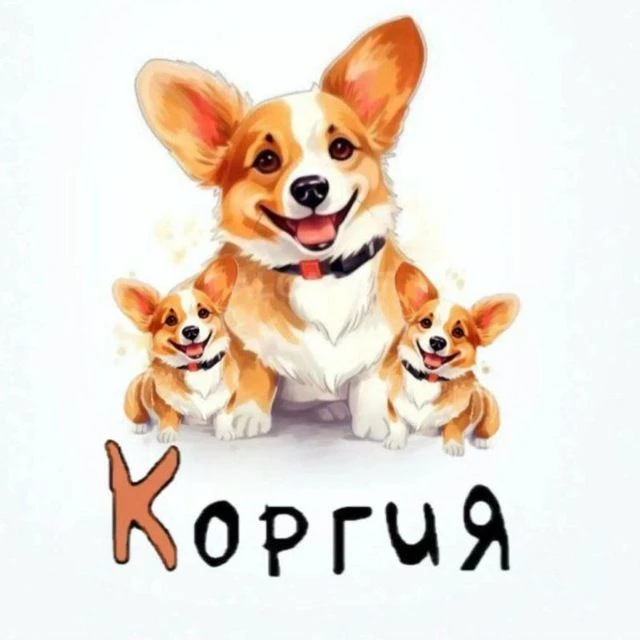 КоргиЯ / Корги / Собаки / Милые Видео — канал в мессенджере MAX