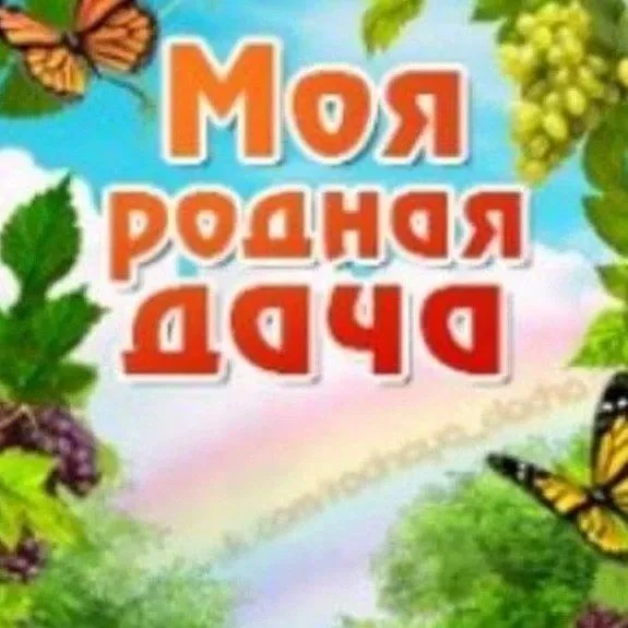 Моя Родная Дача — канал в мессенджере MAX