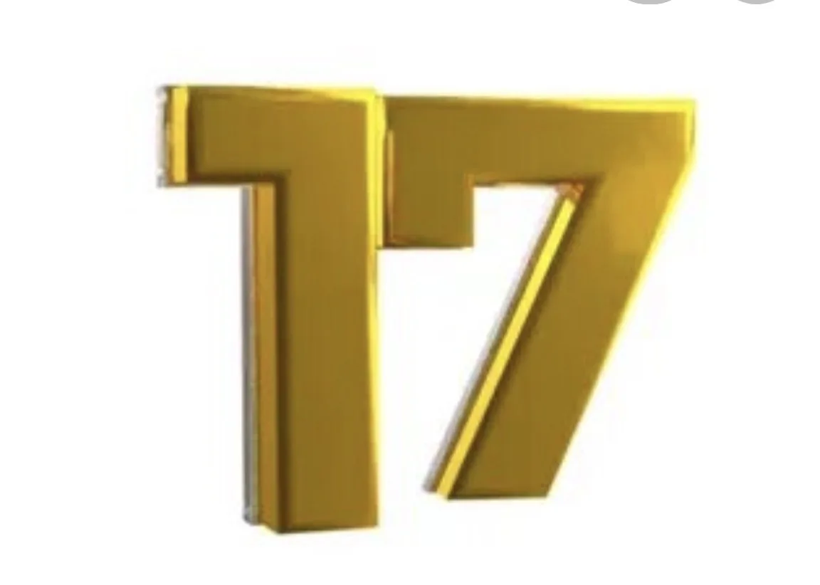 МОУ ООШ №17 г.о.Шуя