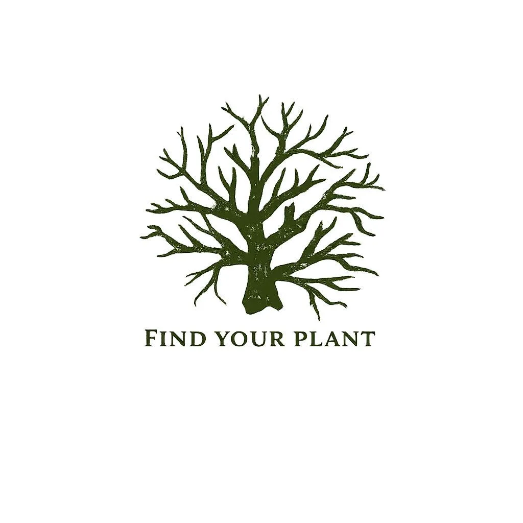 Find Your Plant - Найди своё растение