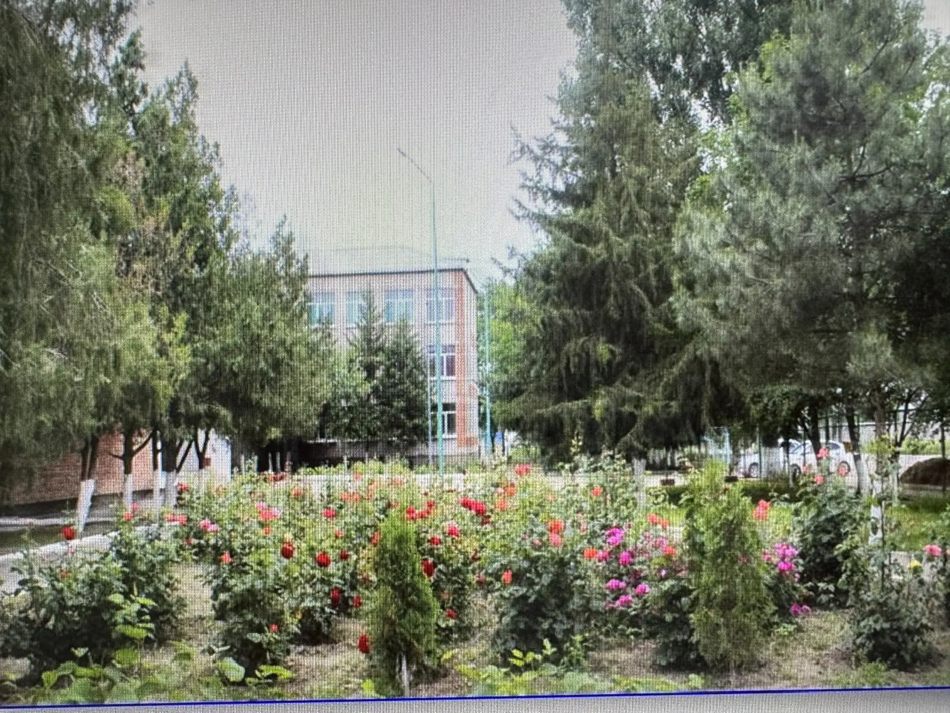 МКОУ "СОШ № 5" село Эдиссия