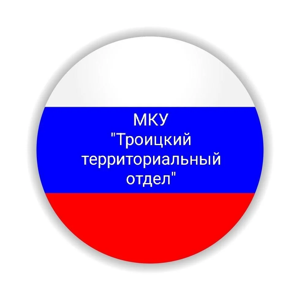 Троицкий ТО