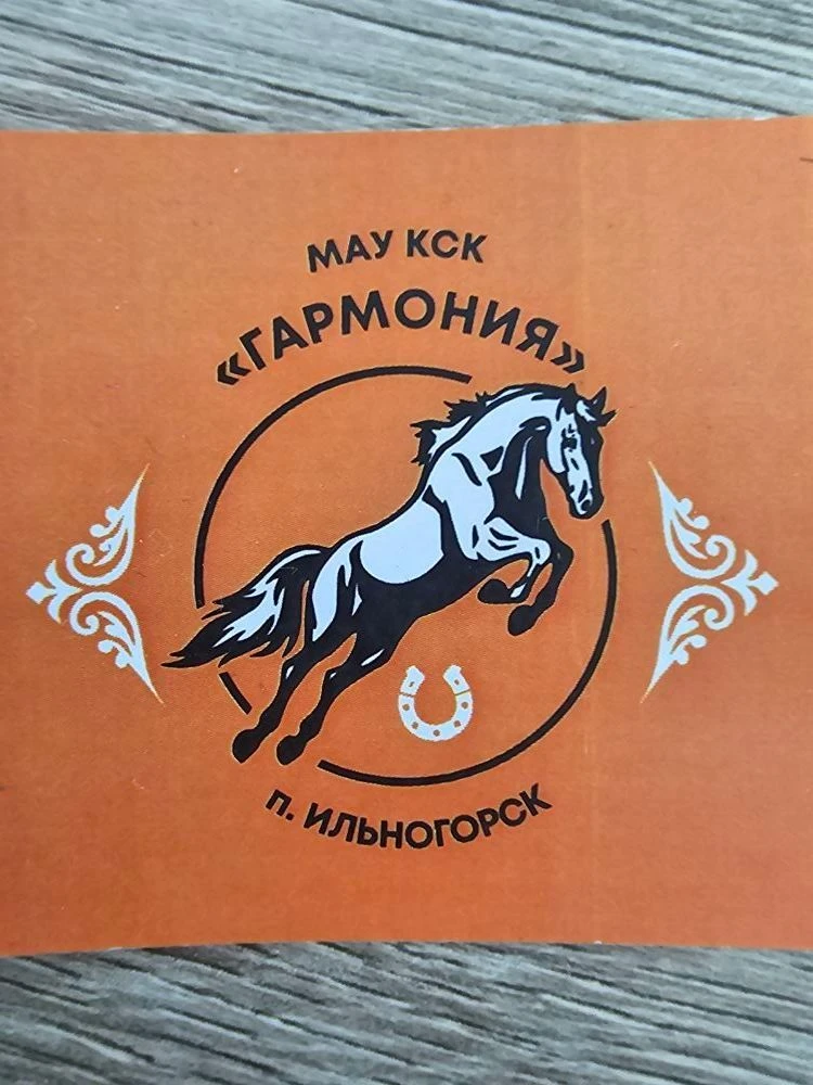 МАУ КСК "Гармония" п.Ильиногорск