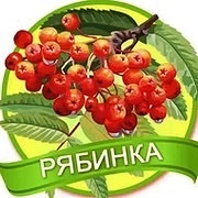 МАДОУ д/с № 40 г.Сарапул