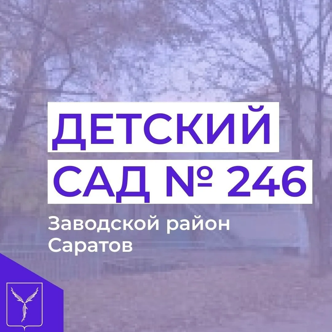 МДОУ "Детский сад комбинированного вида №246"