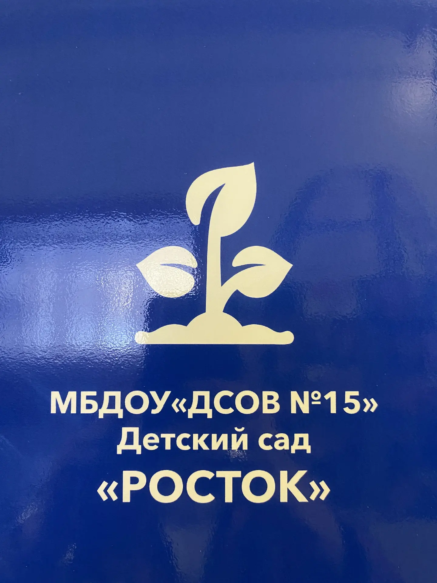 МБДОУ ДСОВ 15