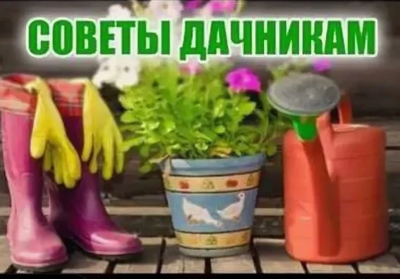 ОГОРОД — канал в мессенджере MAX