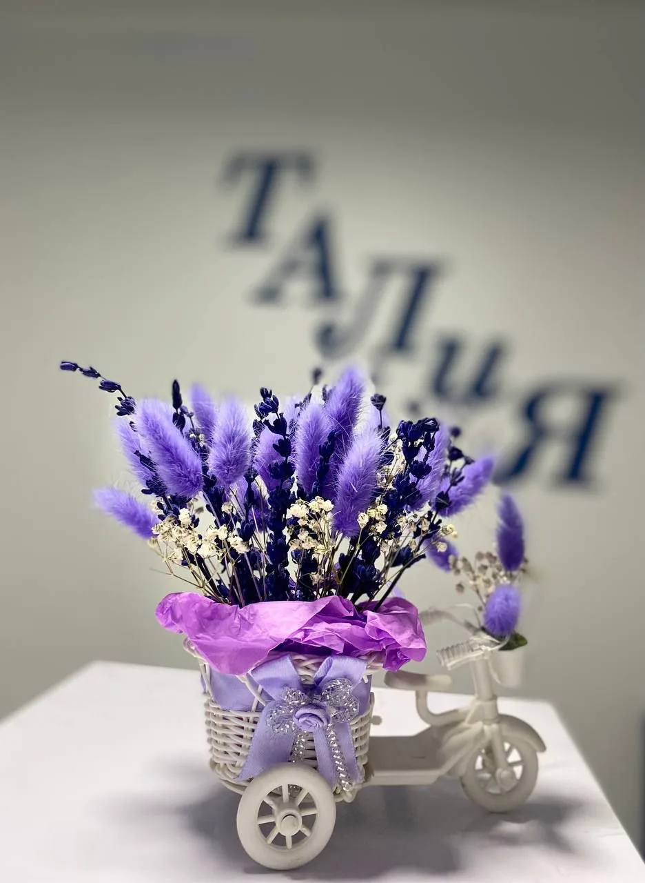 Центр "Талия"