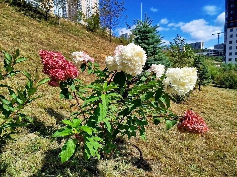 Лариса – голос Патрокла — канал в мессенджере MAX