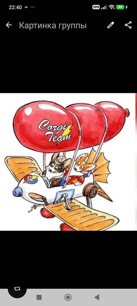 Corgi team | Команда помощи корги