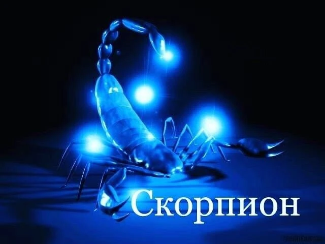 Мой знак зодиака Скорпион