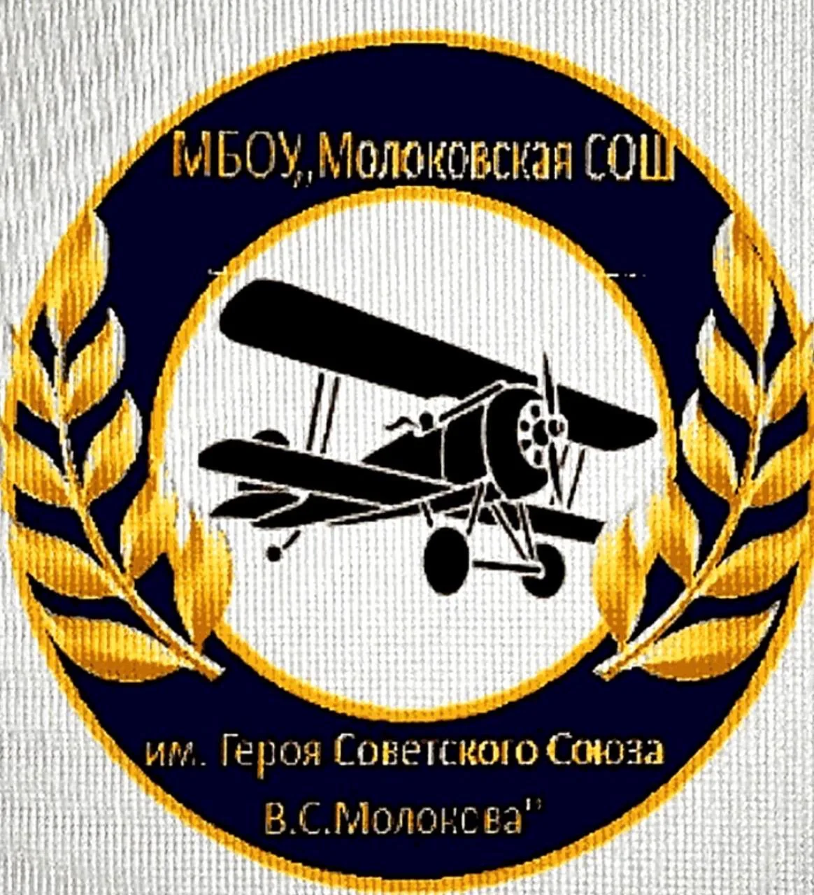 Школа им.Героя Советского Союза В.С.Молокова Ленинский городской округ