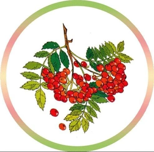 МБДОУ Детский сад "Рябинка" комбинированного вида