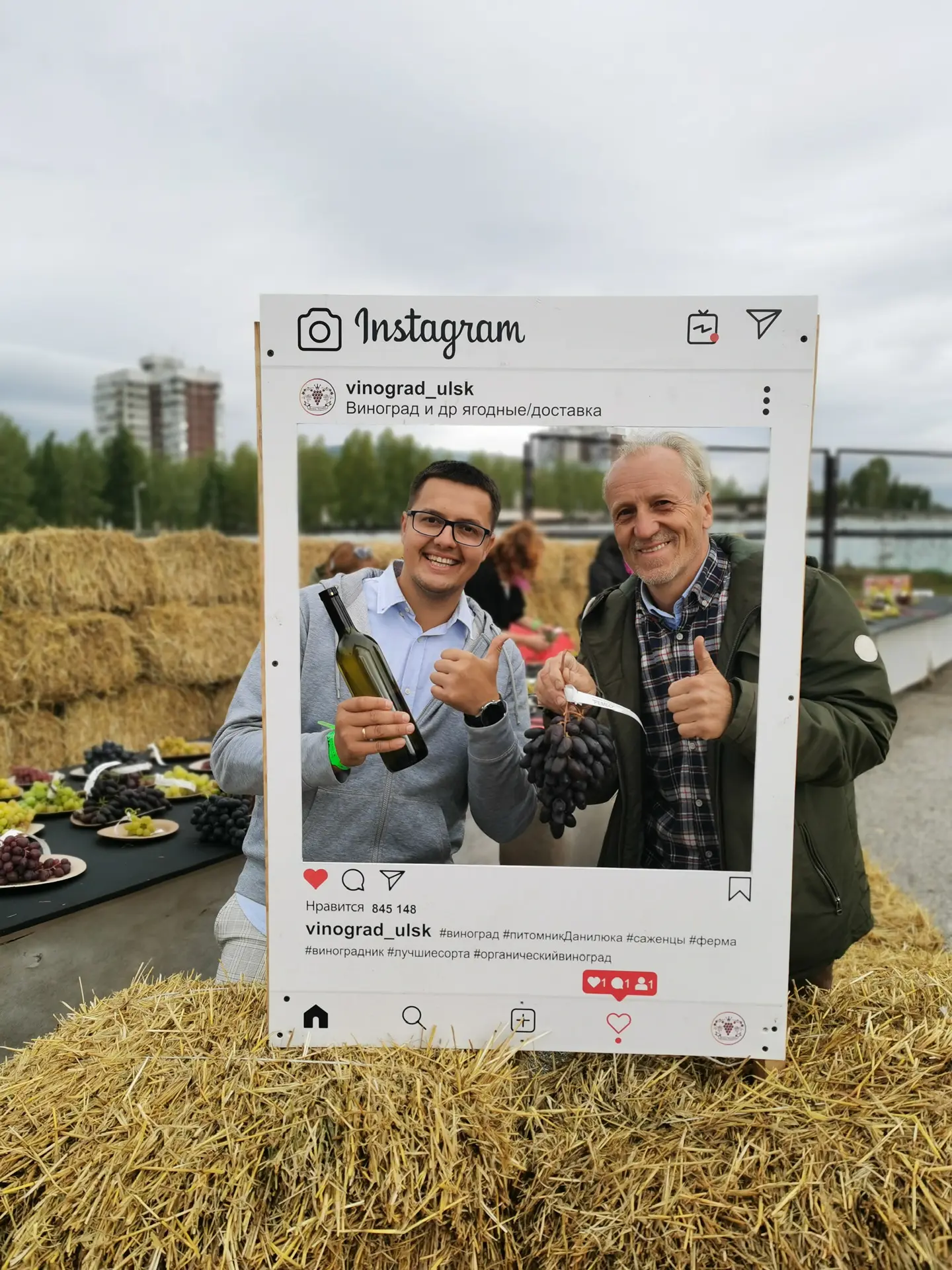 Виноград Ульяновска (ВИНОГРАД.РУ)