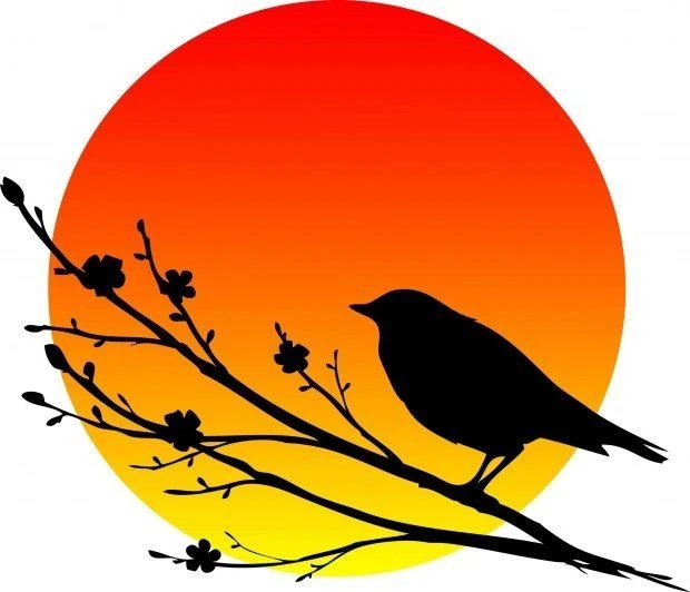 Детский сад № 69 гор. Курск