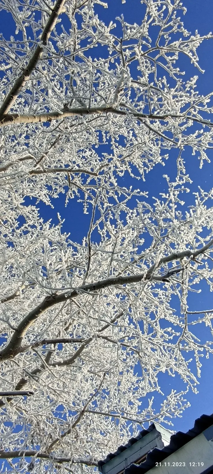 Алексеевская ООШ Чулымского района